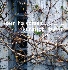 aedesigweb99008.8.jpg